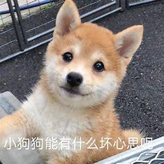 剑网3情缘语录,剑网三情缘语录