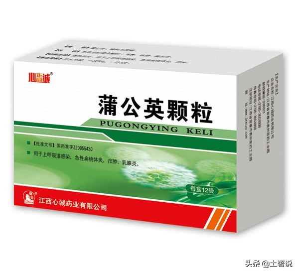 野菜蒲公英图片及识别方法,蒲公英野菜大全配图片和名字