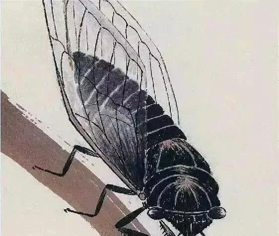 齐白石87岁画的虾背后的故事,齐白石画的虾真的图片及简介