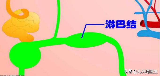 孩子一吃饭就老说肚子疼,孩子一吃饭就说肚子疼