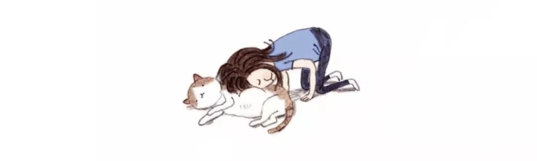 疫苗是抗原还是抗体,猫咪疫苗一样的吗