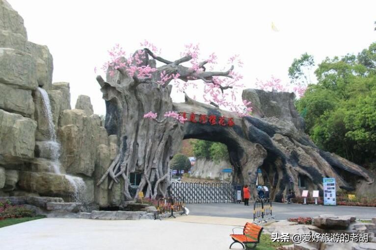 长沙堪比武汉东湖樱花园的地方,1万株樱花,为啥去的人却不多?