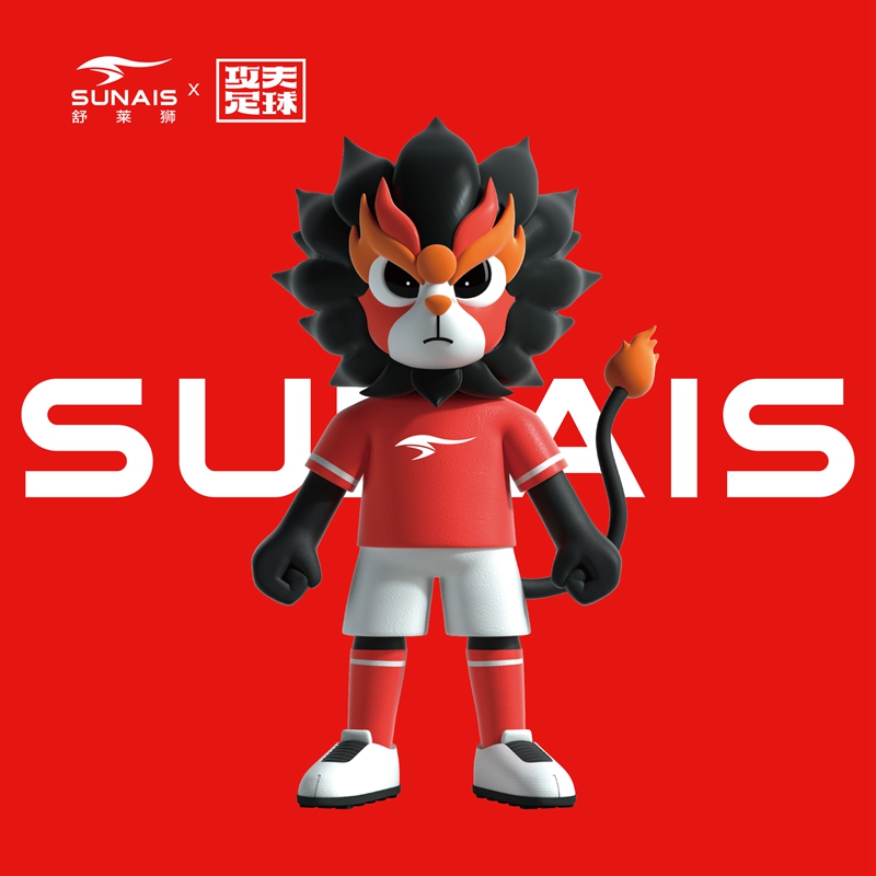 舒莱狮足球怎么打气,舒莱狮足球