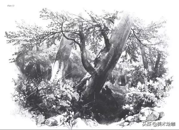 40张经典素描,40张经典素描风景图快拿去临摹吧