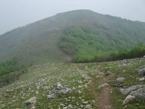 娌冲崡鍗楅槼鍗冨勾鍙ゅ,鍗楅槼瀵哄簷椋庢櫙