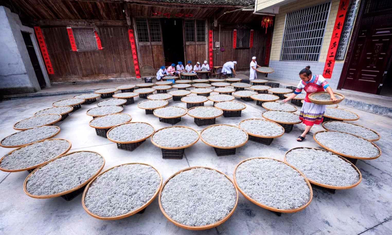 莓茶是什么植物,莓茶有什么功效