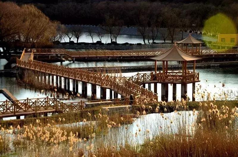 北京小众湿地公园免费,北京周边湿地公园