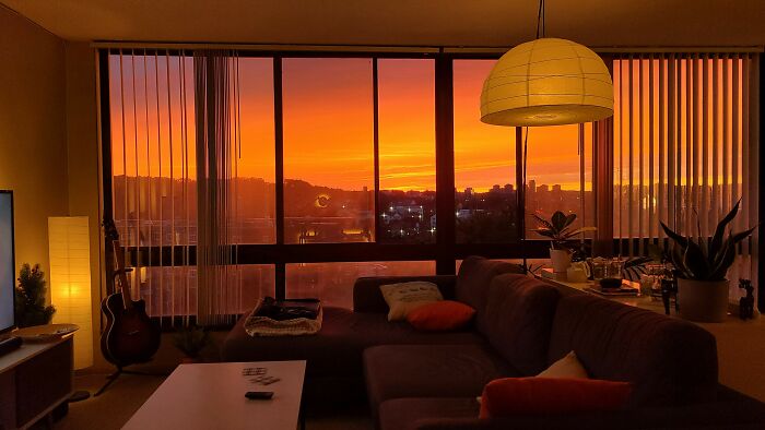 国外网友分享的生活,外国网友分享家里奇奇怪怪的东西