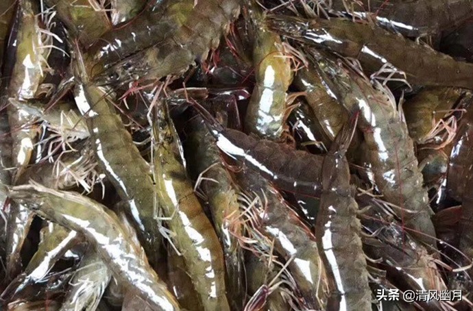 鲜虾冷冻虾头怎么处理,鲜虾千万不要直接冷冻
