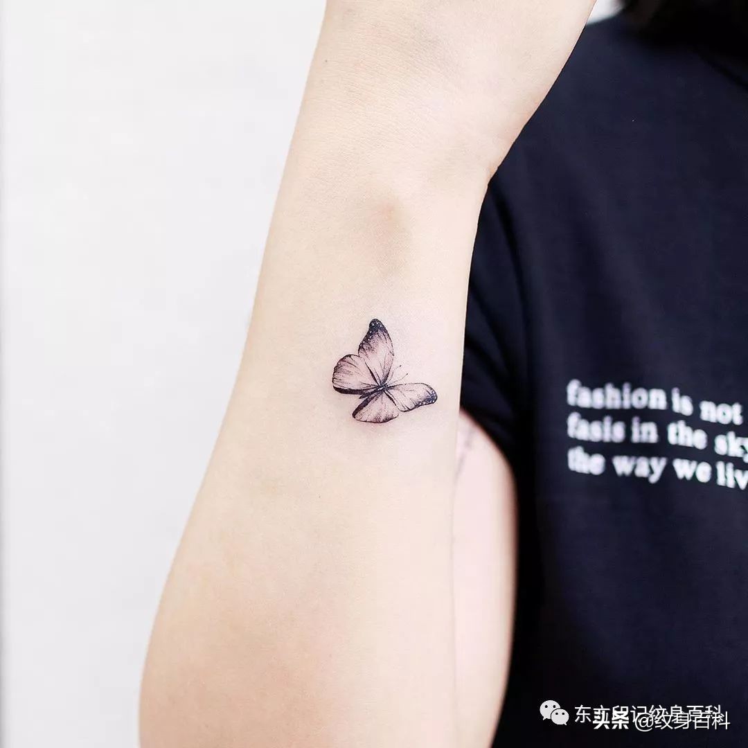 蝴蝶纹身图案代表什么,代表自由的蝴蝶纹身