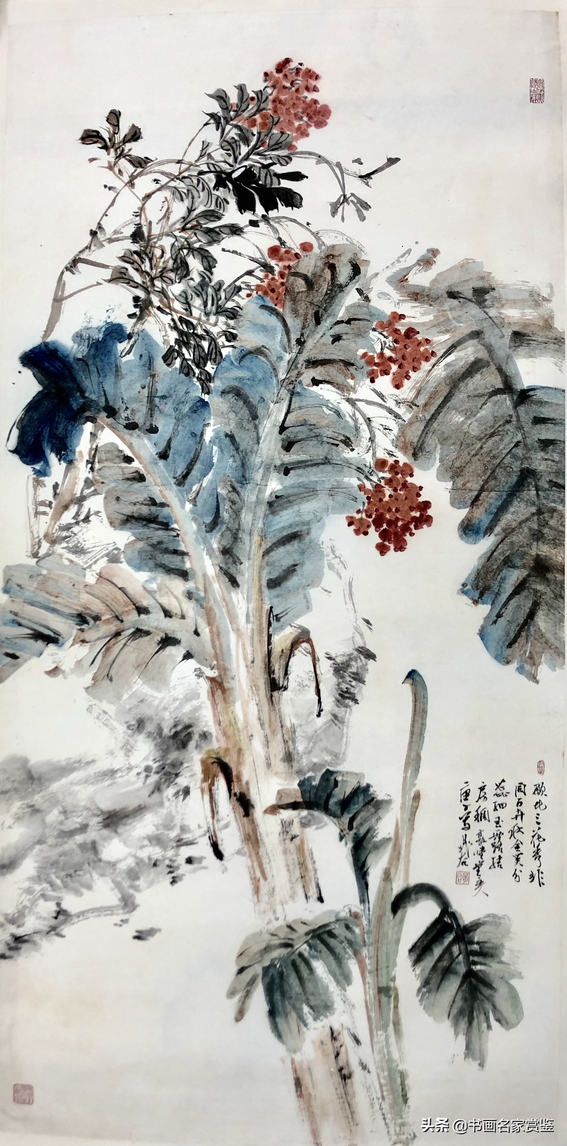 敦睦堂晁谷,晁谷苏州敦睦堂