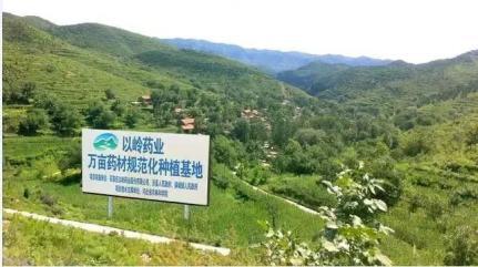 以岭药业生产的连花清瘟固体饮料,以岭健康科技有限公司连花清瘟