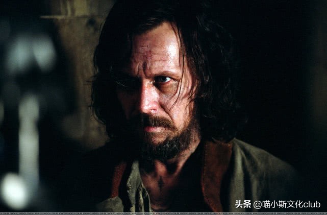 哈利波特男巫隐藏头发,哈利波特亲世代