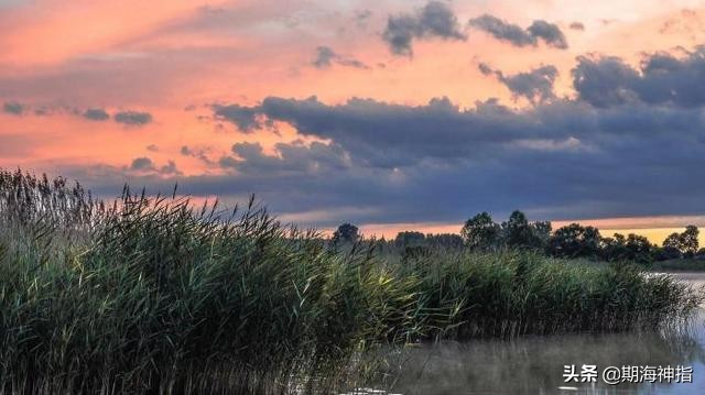期货高手心得体会,期货高手交易心得分析报告