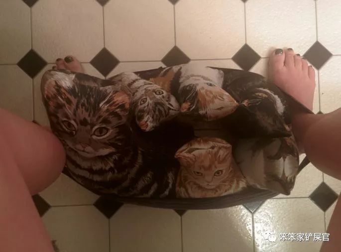 一个爱猫咪的女人,爱猫人士猫过敏