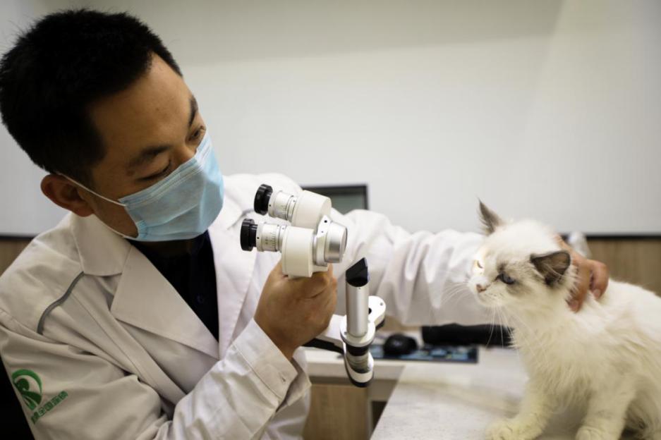 漳州瑞派宠物医院冠城分院,深圳瑞派宠物医院靠谱吗