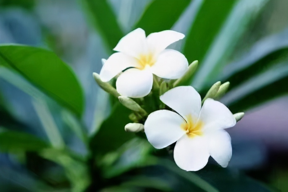 如果失去了爱人怎么办,如果失去爱人余生怎么过