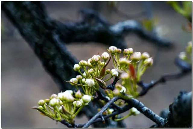 金堂十大景点排行榜,金堂景点排名榜前十