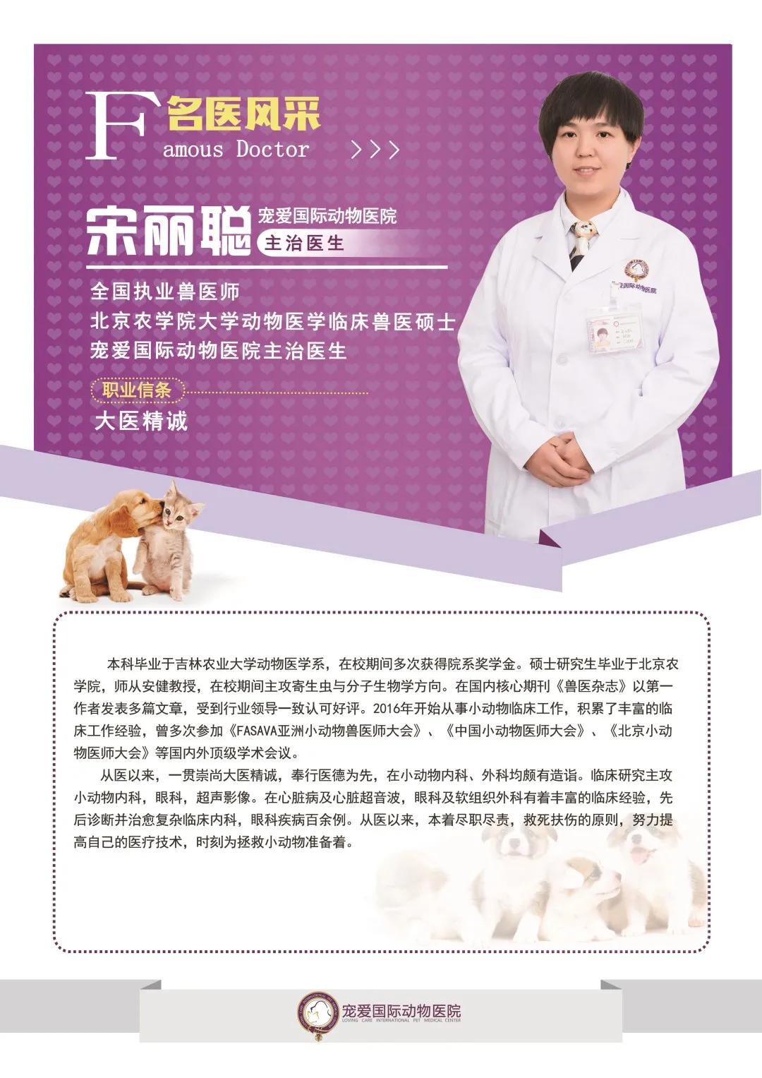 猫咪生病铲屎官上班怎么办,铲屎官治什么病