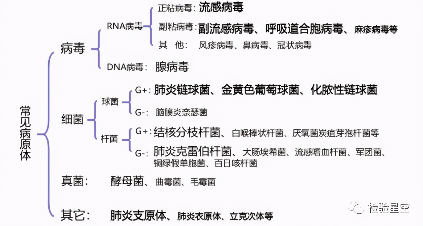 呼吸道九联检的临床意义