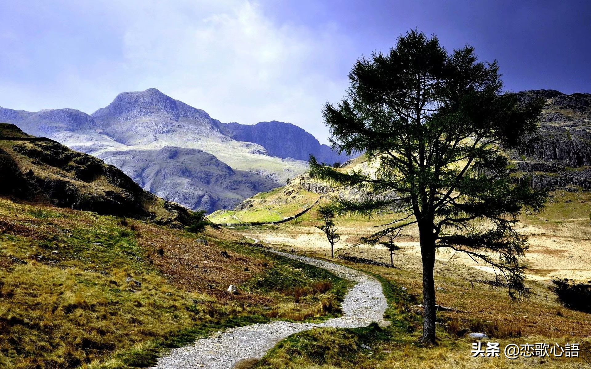 朗诵在路上完整版董卿,朗诵在路上主持稿串词