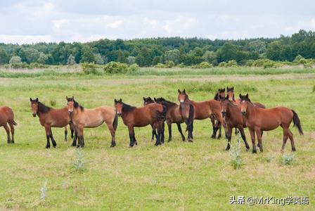 inaschool和ataschool区别,inauniversity和atauniversity区别