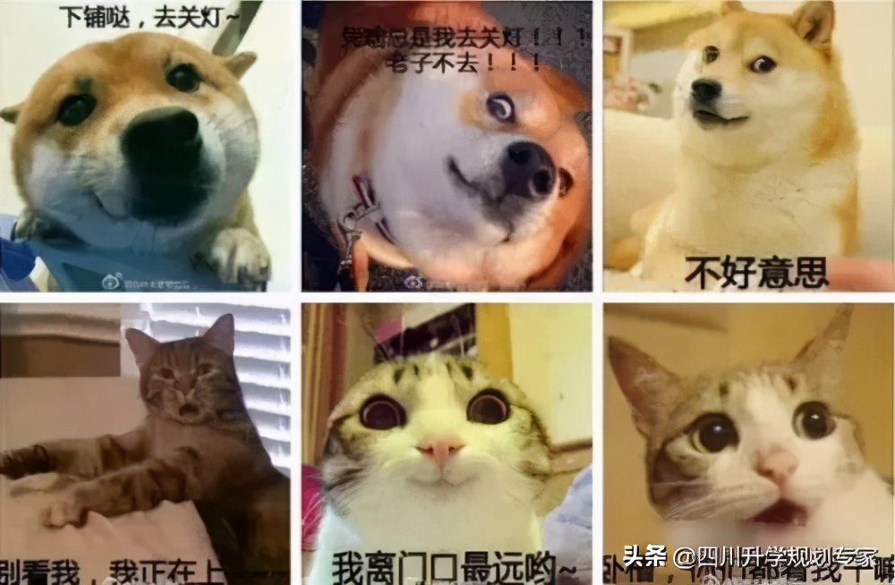 与舍友合不来怎么安慰小孩,和舍友合不来经常互怼怎么办