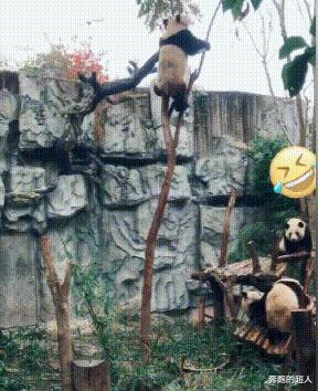 怕了怕了，我走还不行吗？