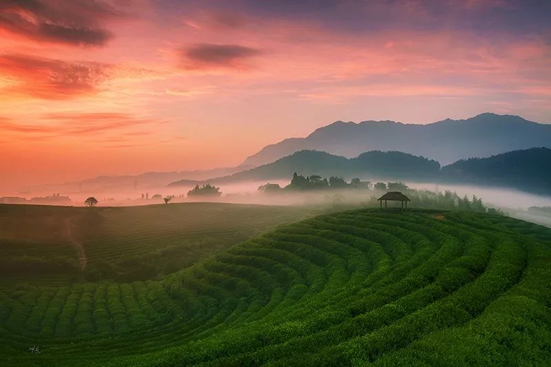 杭州凭什么最具幸福感 (杭州一幅幸福的模样)