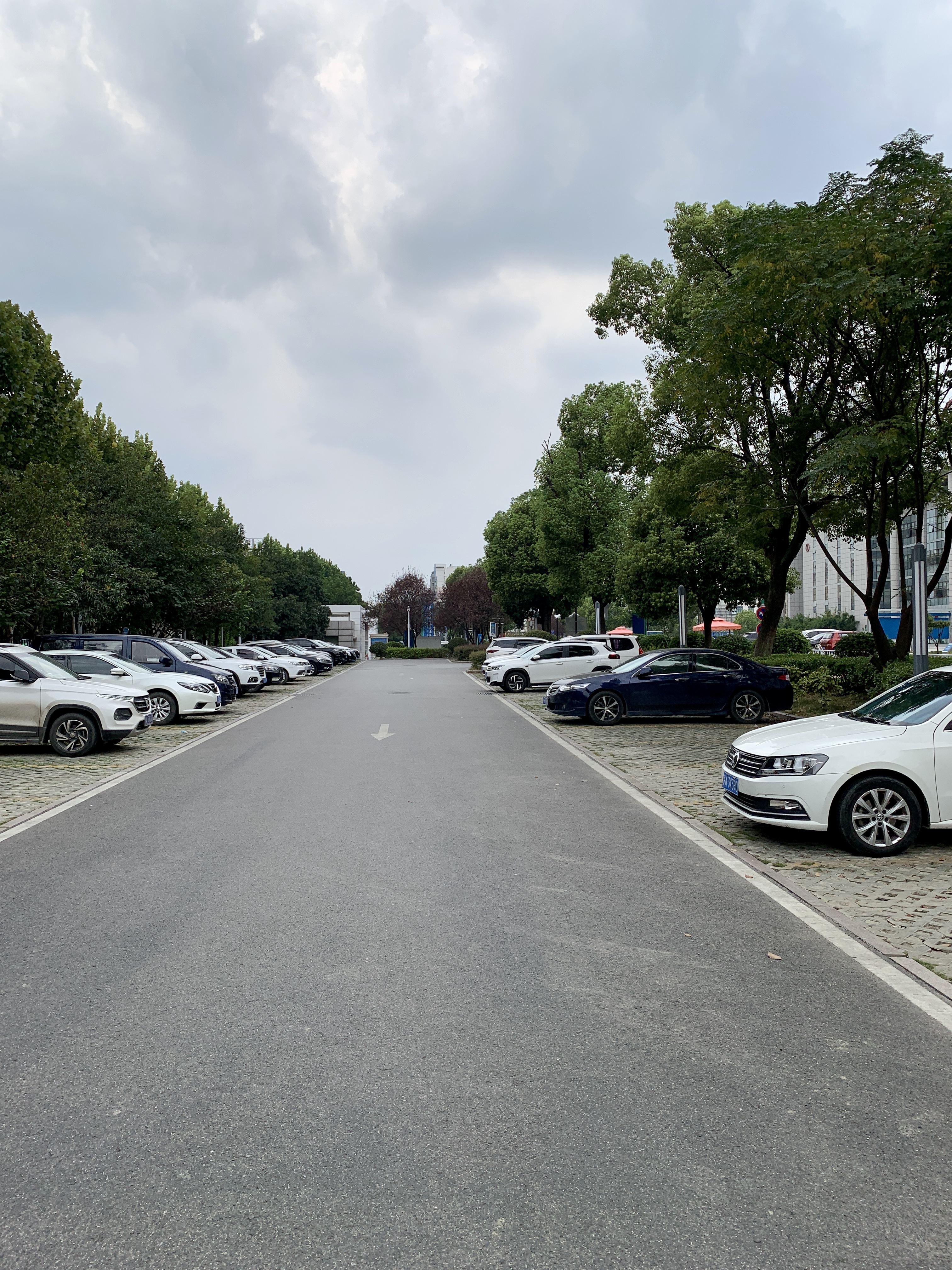 建筑实地调研报告,建筑实地调研