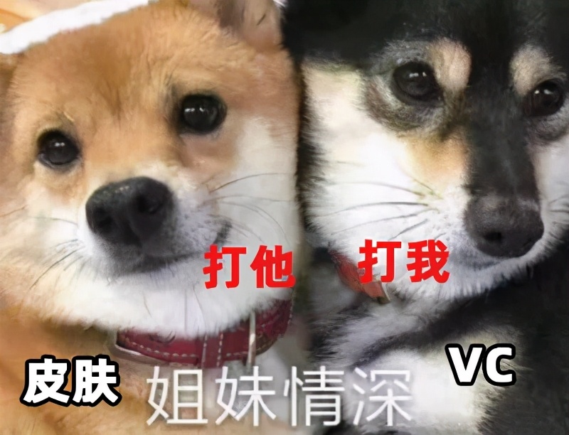 效果堪比整容的变美小知识,花几万整形不如换个发型