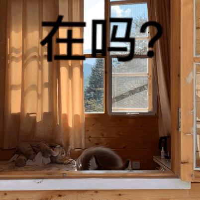 阿拉斯加身上臭味特别重,阿拉斯加脚臭怎么解决