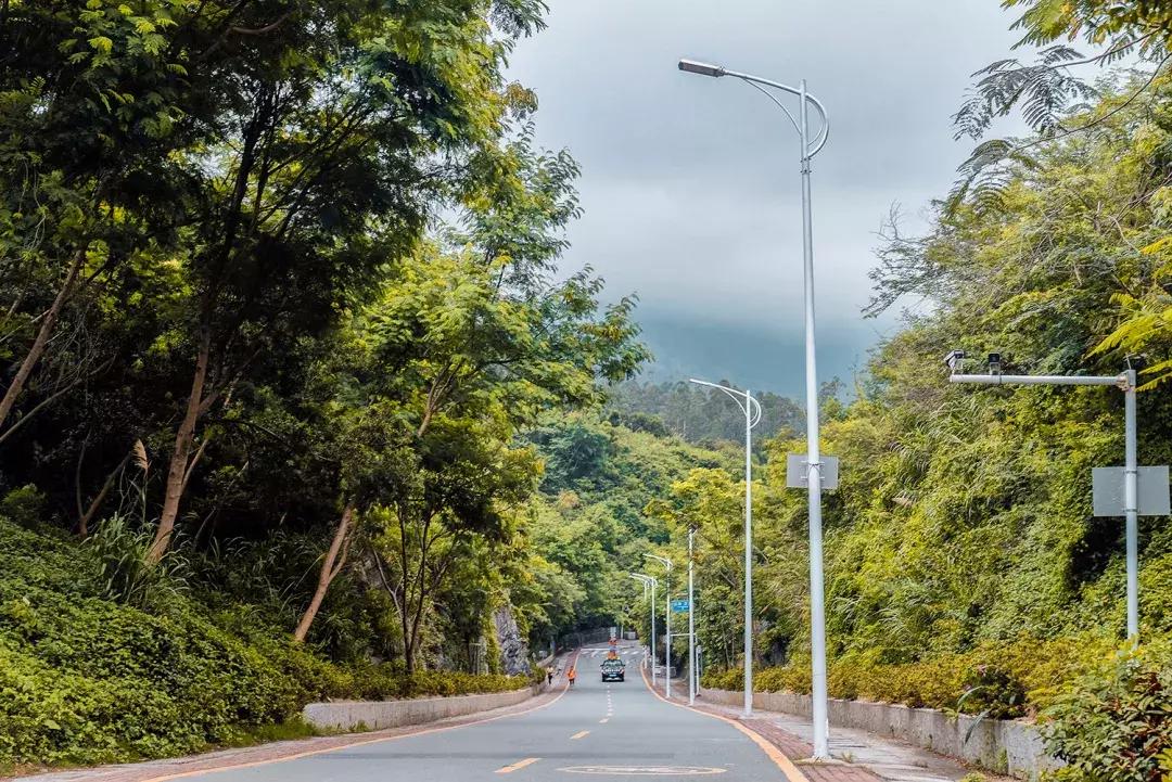 隐藏在梧桐山里的世外桃源,深山独门独户世外桃源