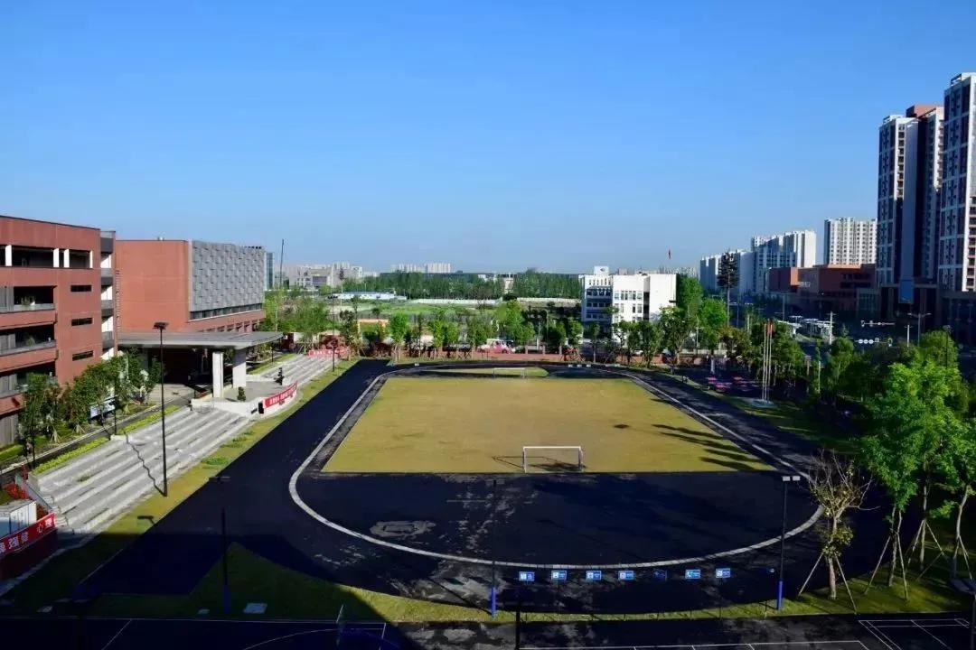 电子科大附中排名,电子科大附属小学排名