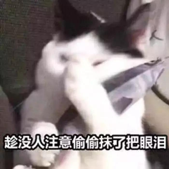 2018淘宝有什么新功能,用了十年淘宝都不知道的隐藏功能