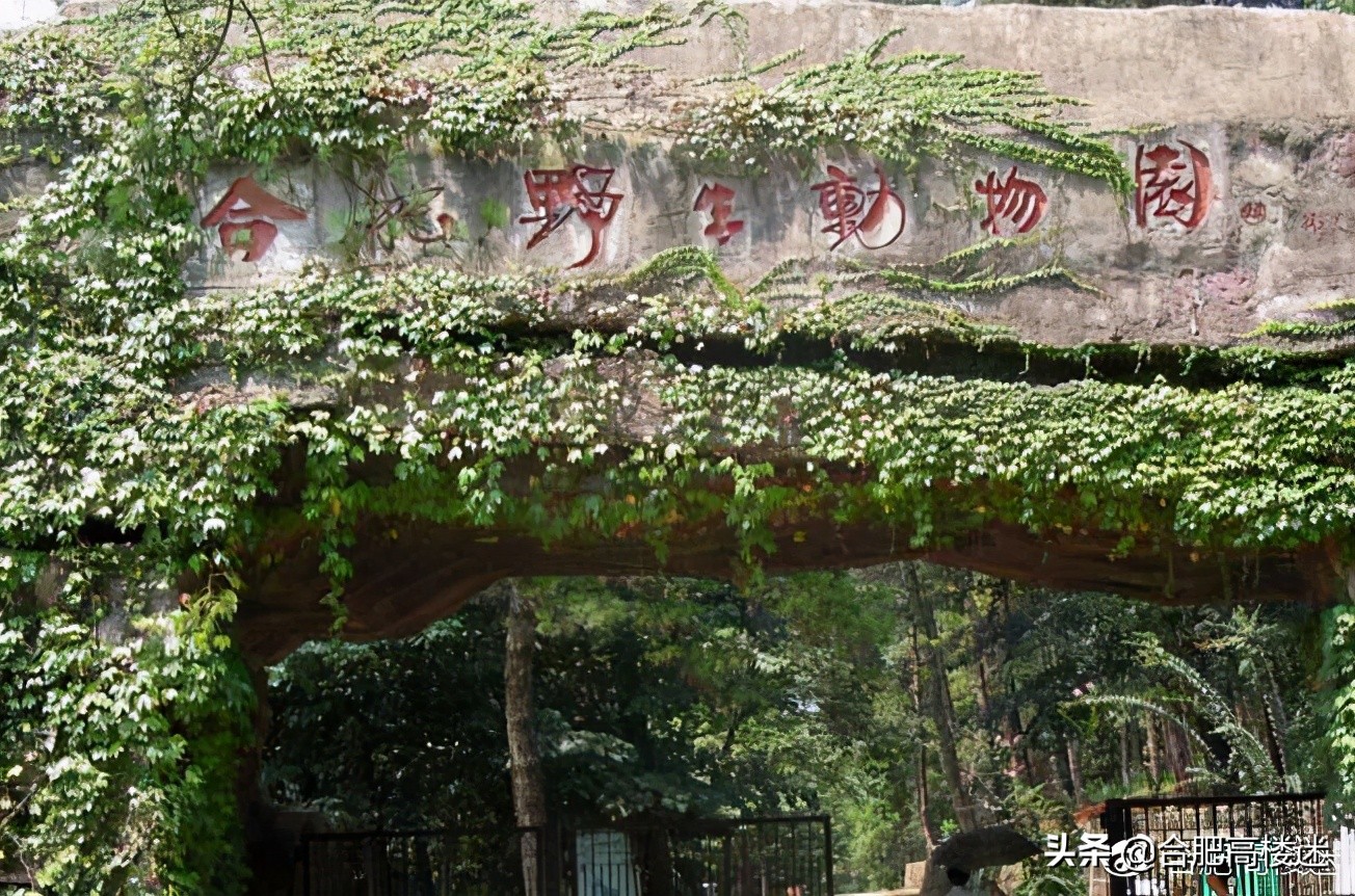 合肥五一旅游景点攻略大全,五一假期合肥旅游人气爆棚