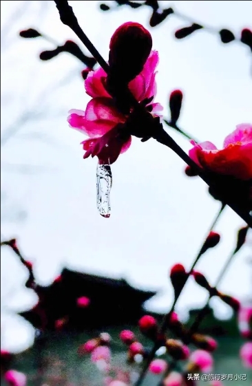 旧时代的榆次老城,榆次老城的老城简介