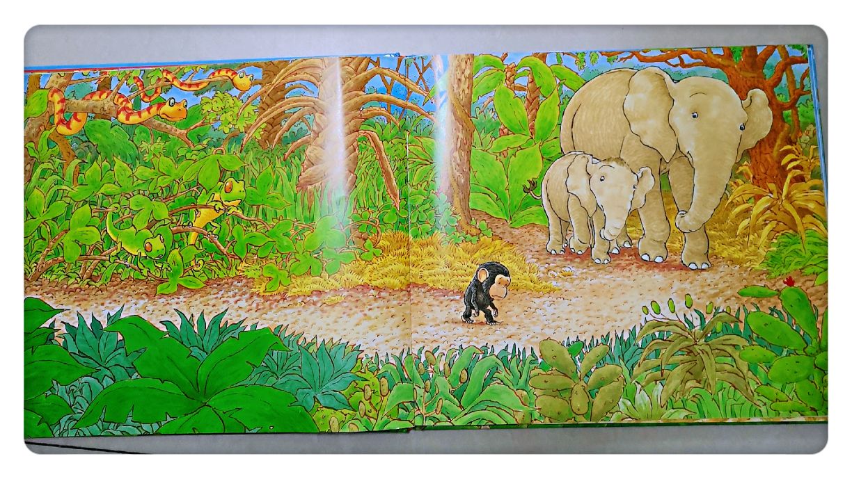 缁樻湰鏁呬簨鎶辨姳濡備綍绮捐,鎶辨姳缁樻湰鍏ㄩ儴鍥剧墖