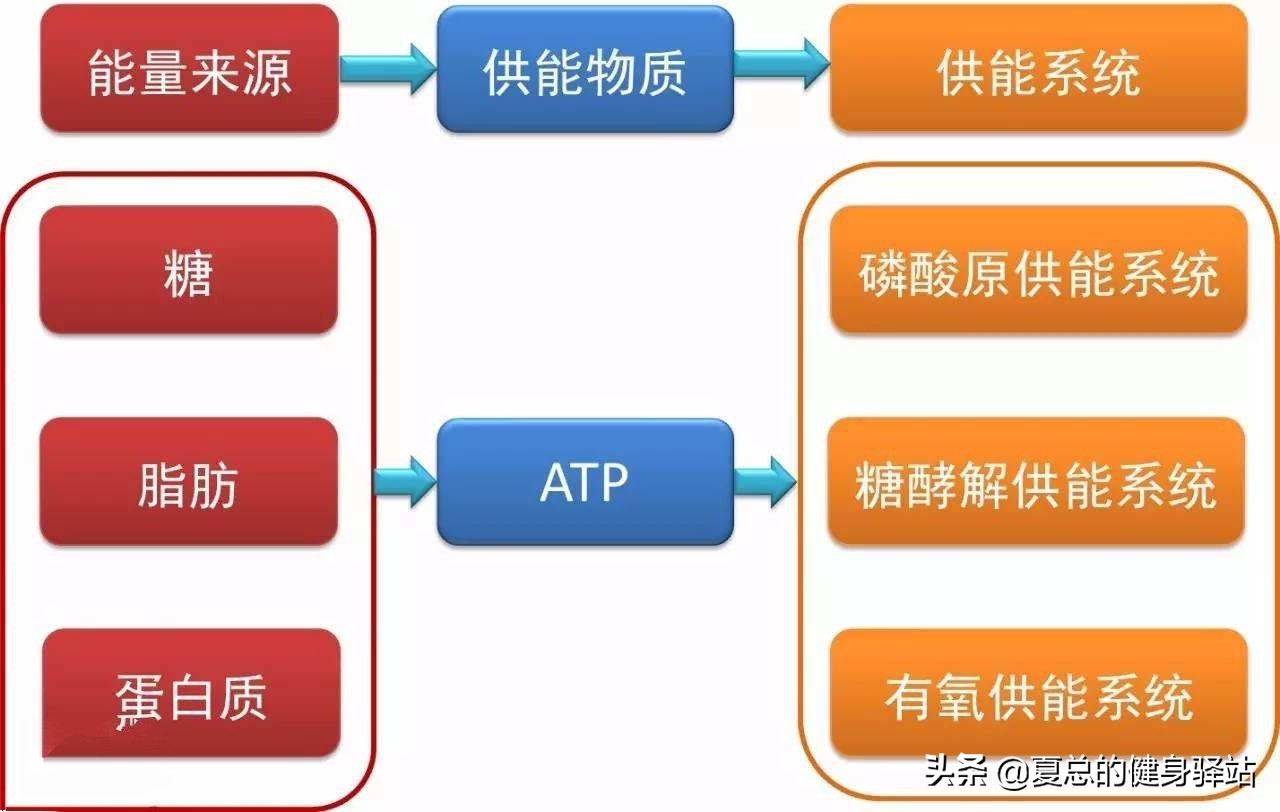 瑜伽减肥和普拉提哪个好,瑜伽减肥和跳舞哪个好