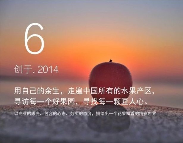 四川种植草莓的成本及利润,一亩大棚草莓的真实利润