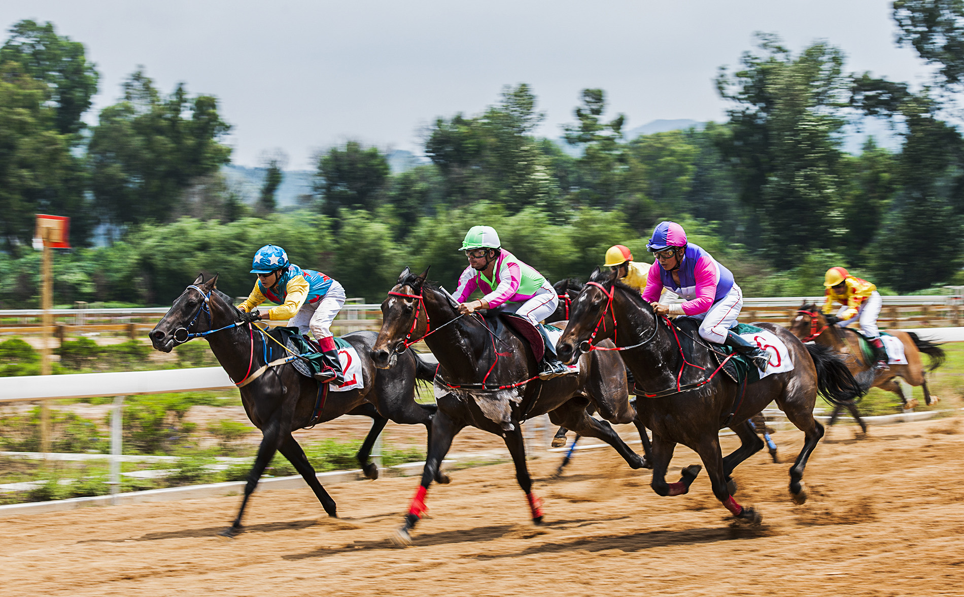 踏马滇池?百万名马乘骑等你来体验