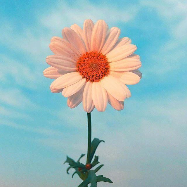 心中有爱满眼皆是美景,心中有爱眼里有光所见皆是美好