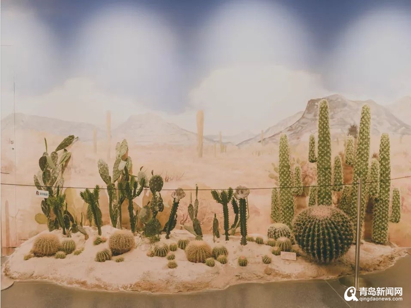 改变世界的十大科技,改变全世界的新科技