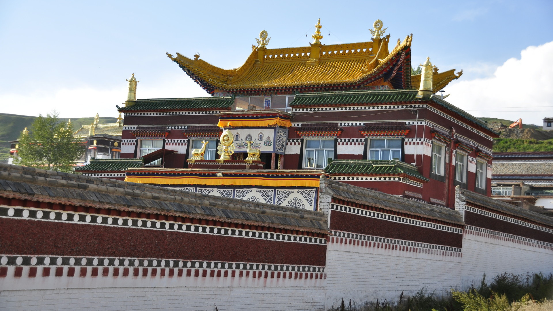 甘肃一个悬崖上的寺庙,甘肃的寺庙为什么都建在山上