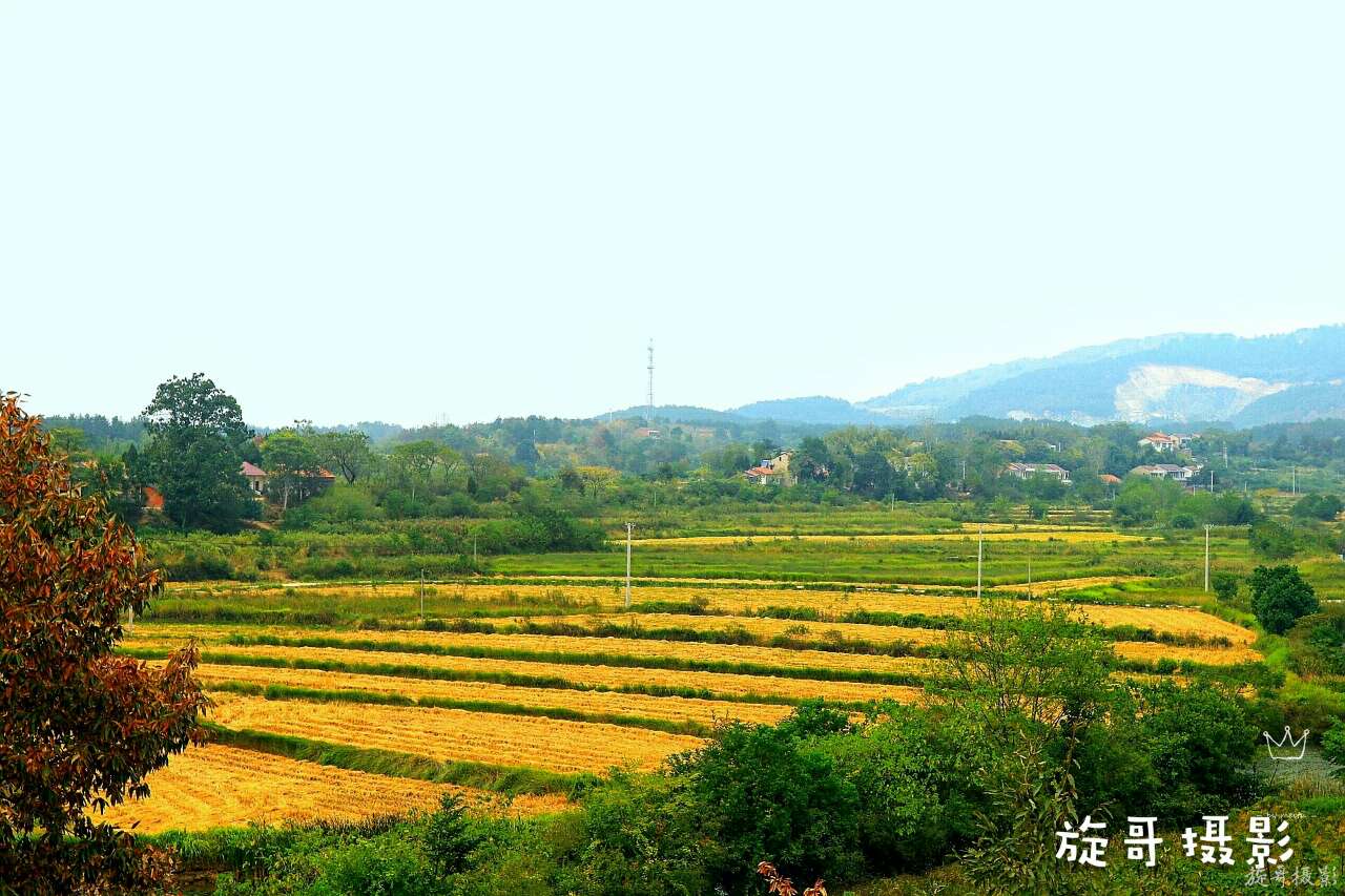静夜思是李白在哪个地方写下来的,一千多年前李白静夜思诞生的地方