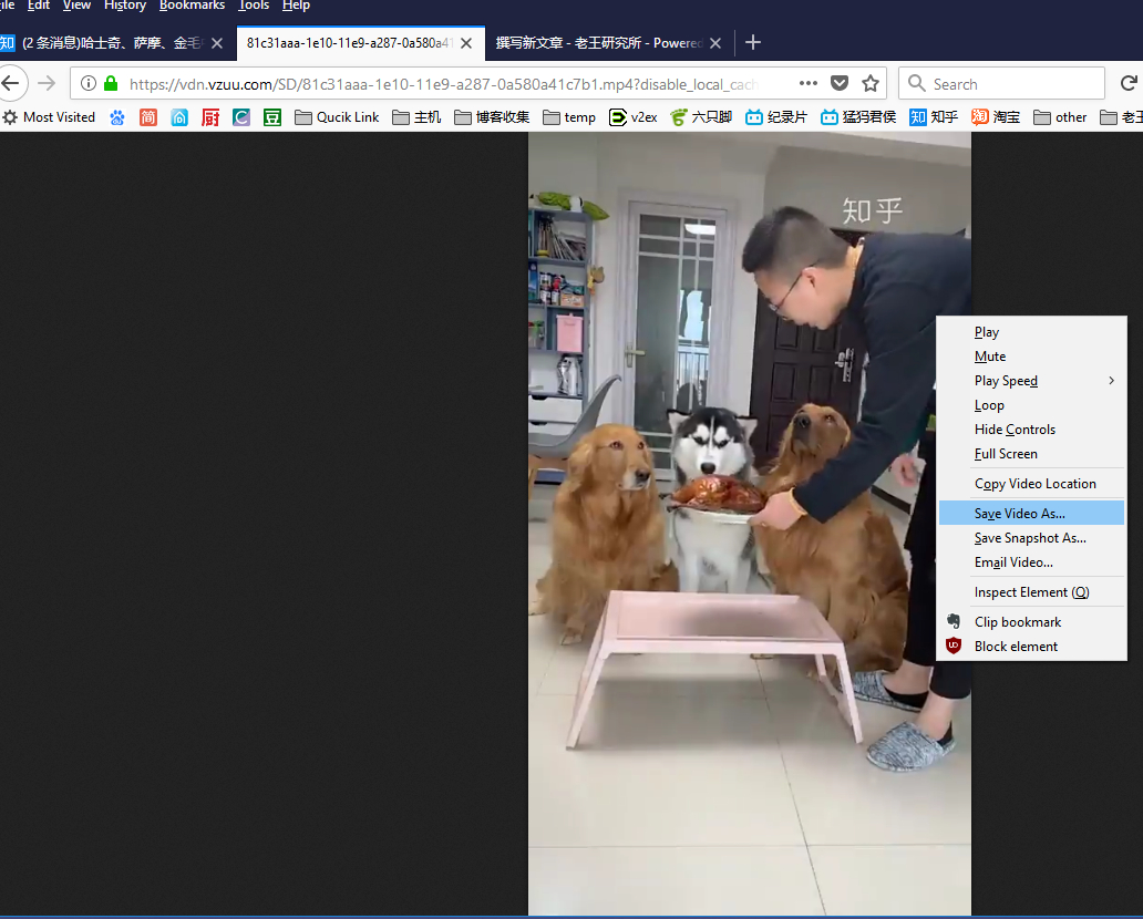 教你不用任何其他工具，直接*载下**知乎视频