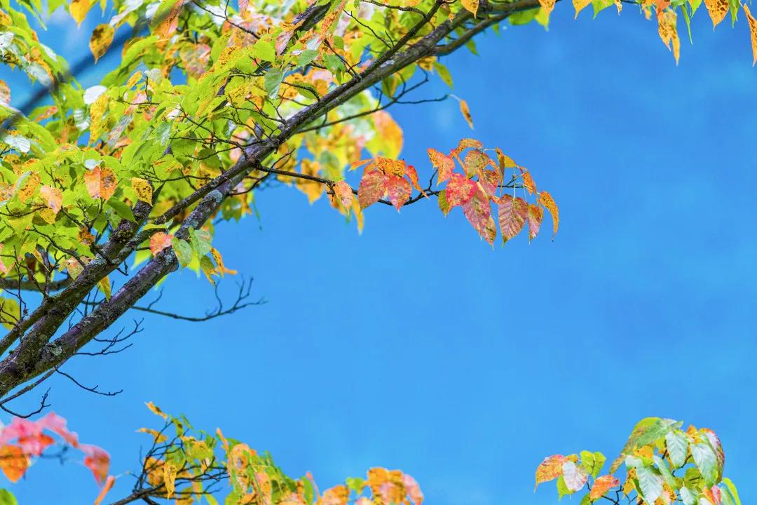 九寨沟路上招手,前方到站宁强