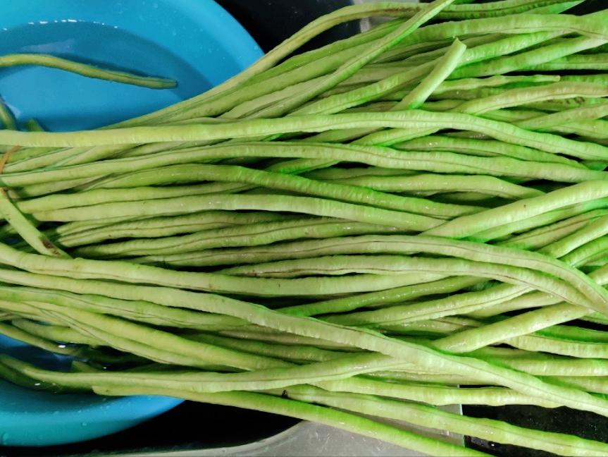 晒豆角干为什么要烫,晒豆角干用焯水吗教你正确的做法