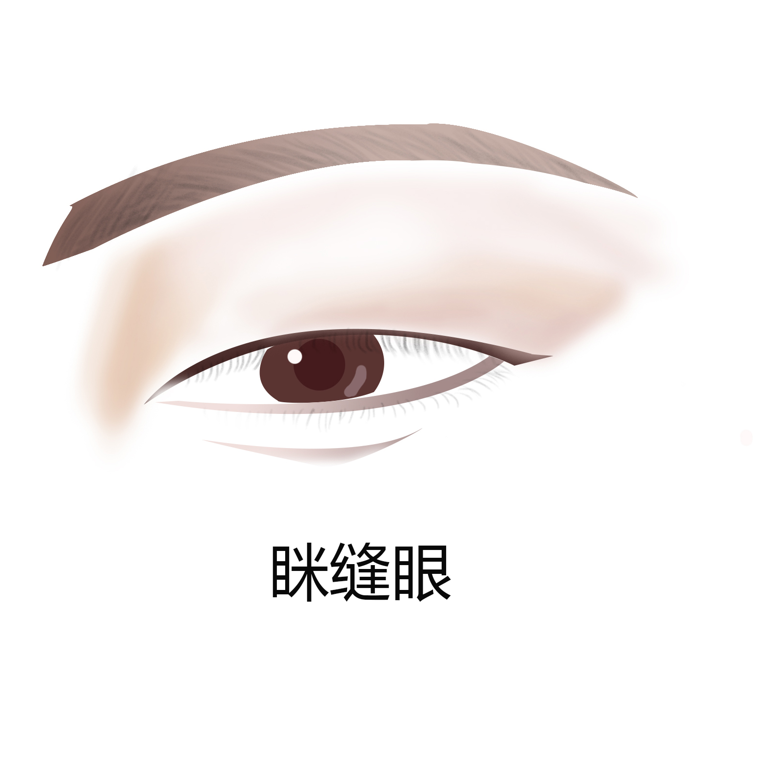 怎么判断自己眼型适合什么眼线,判断眼型的app