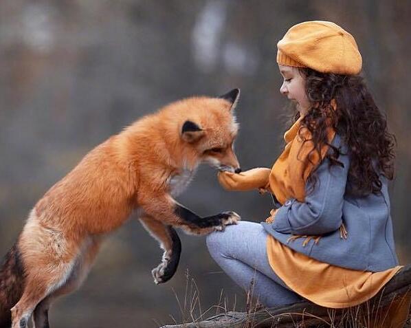 学日语培训班学校排名前十,上海日语培训学校排名